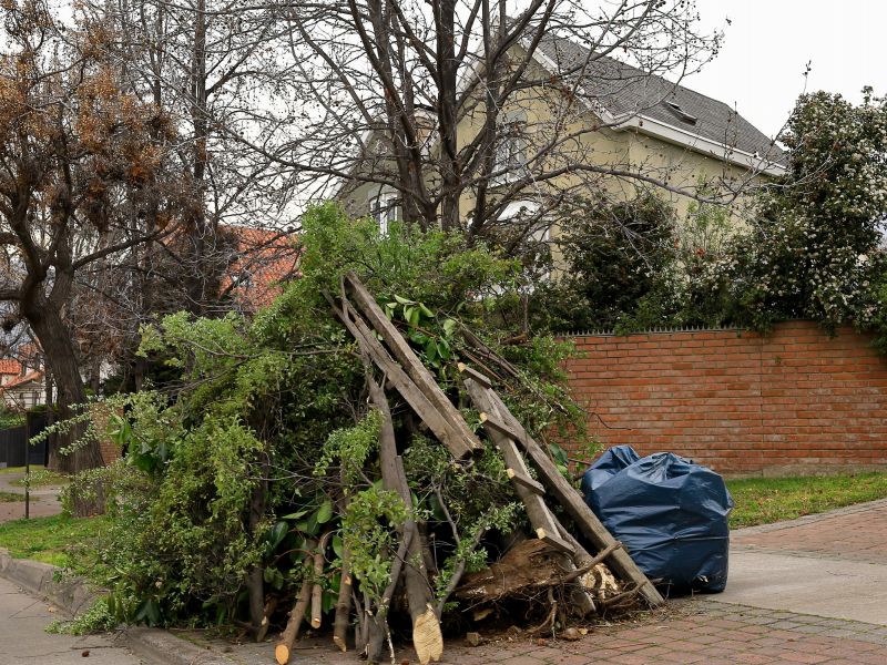 Debris Sorting