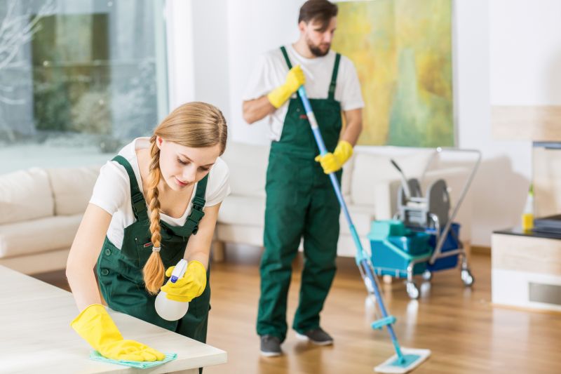 Reo Property Cleaning in Frisco, TX